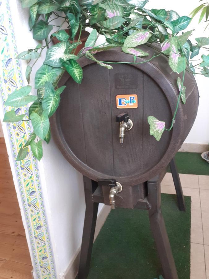 B&B Mistral Di Lizzio Salvatore Giarre Εξωτερικό φωτογραφία